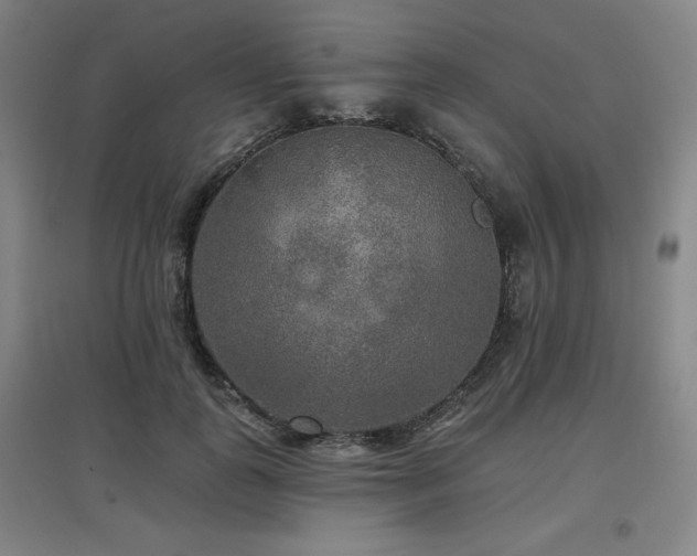 X0000097610747200802291302