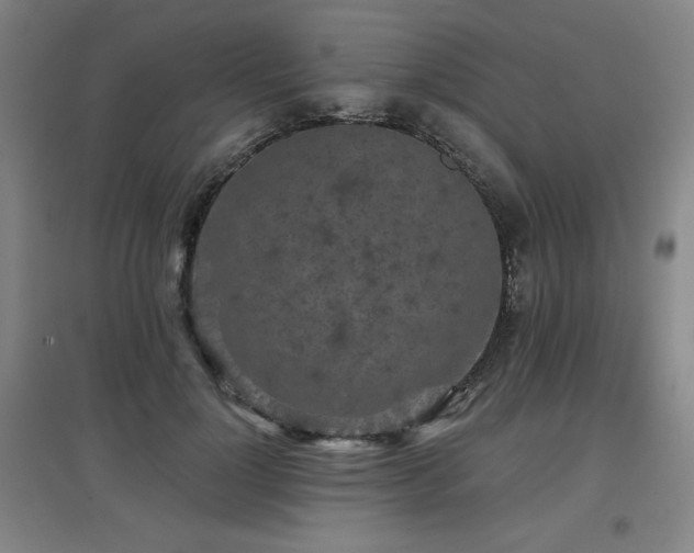 X0000097610748200802291302