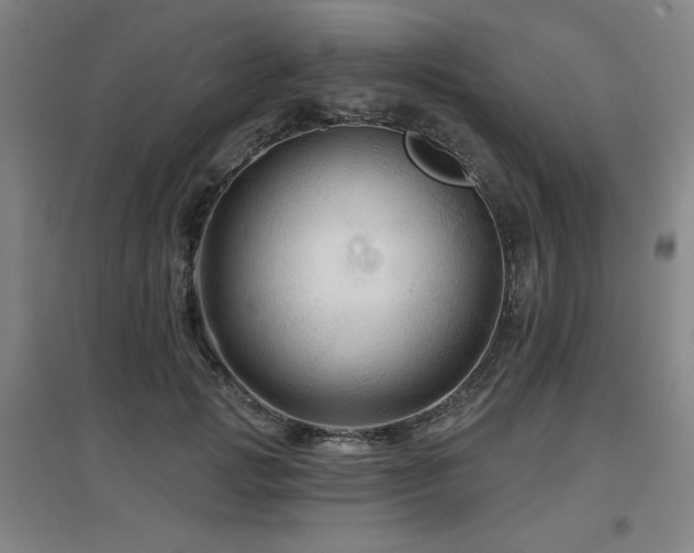 X0000097610749200802291302