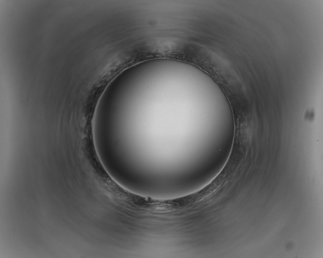 X0000097610750200802291302