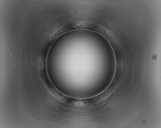 X0000097610751200802291302