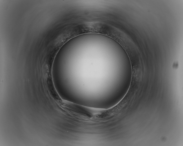 X0000097610752200802291302
