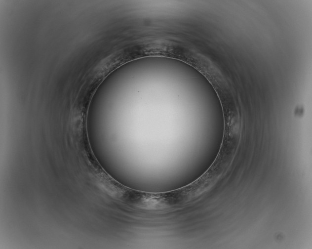 X0000097610753200802291302