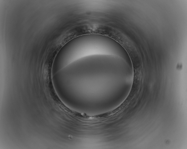 X0000097610754200802291302