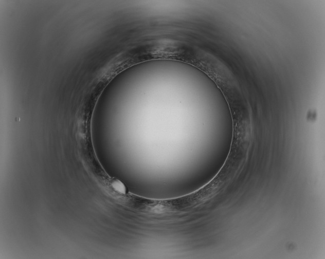 X0000097610755200802291302
