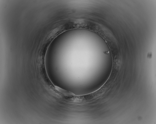 X0000097610756200802291302