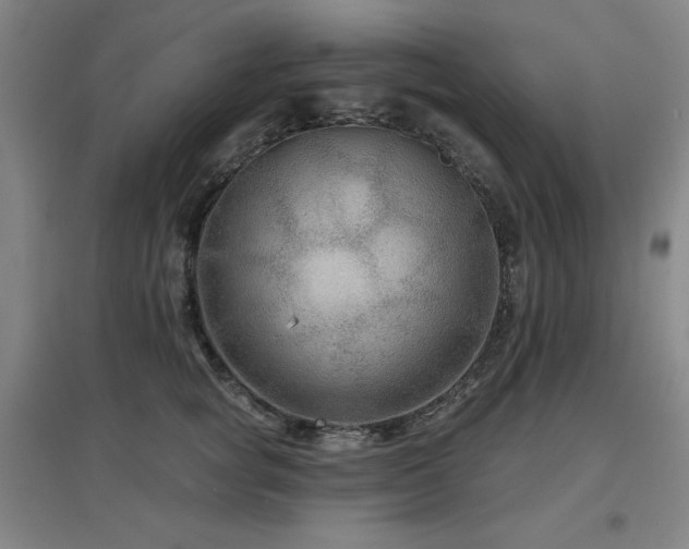 X0000097610757200802291302