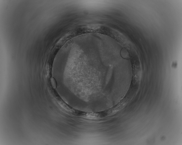 X0000097610758200802291302