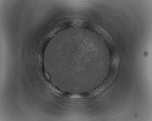 X0000097610759200802291302