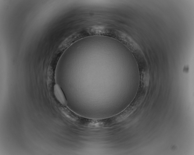 X0000097610760200802291302