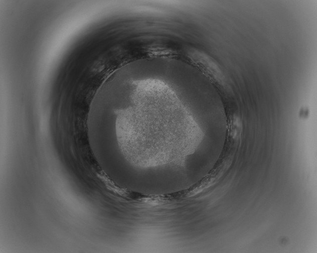 X0000097610763200802291302