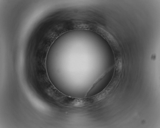X0000097610764200802291302