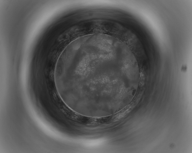X0000097610765200802291302