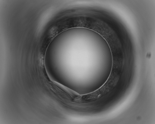 X0000097610766200802291302