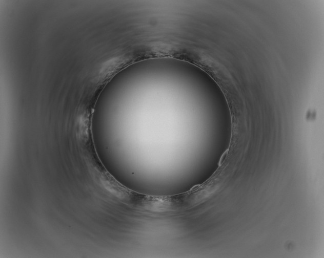 X0000097610768200802291302