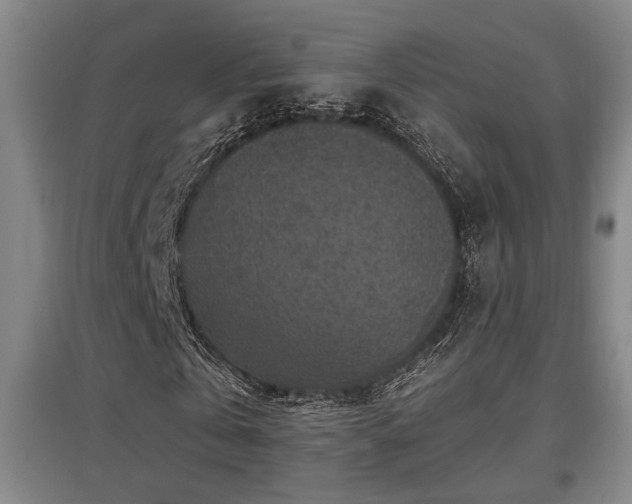 X0000097610769200802291301