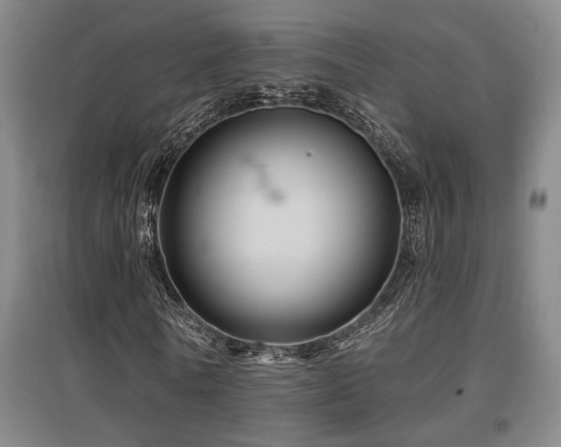 X0000097610770200802291301