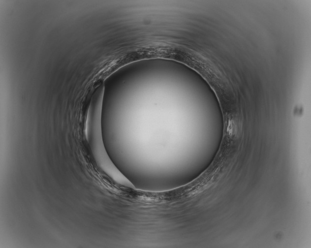 X0000097610771200802291301