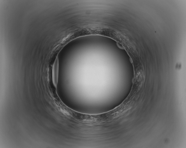 X0000097610772200802291301