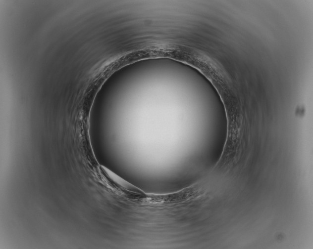 X0000097610773200802291301