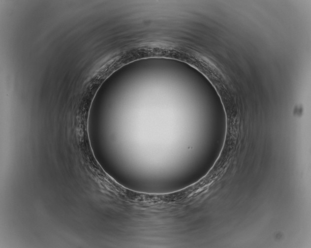 X0000097610774200802291301