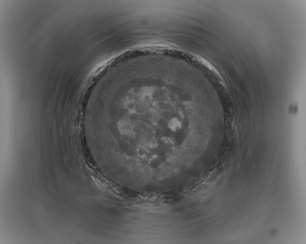 X0000097610775200802291301