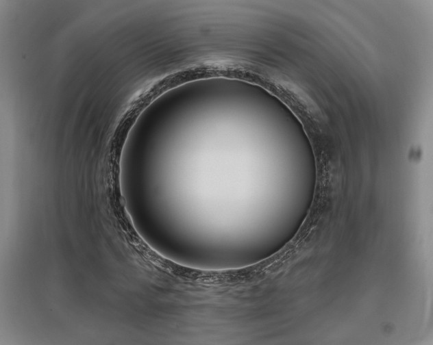 X0000097610776200802291301