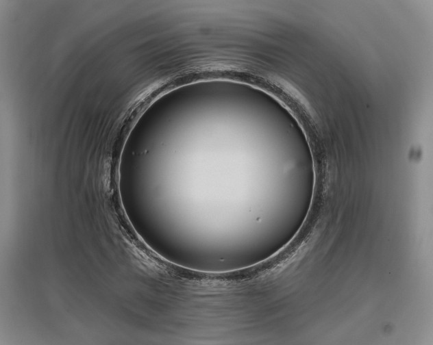 X0000097610777200802291301