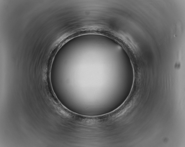 X0000097610778200802291301