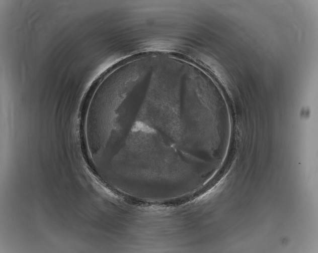 X0000097610779200802291301