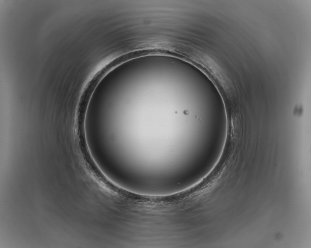 X0000097610780200802291301