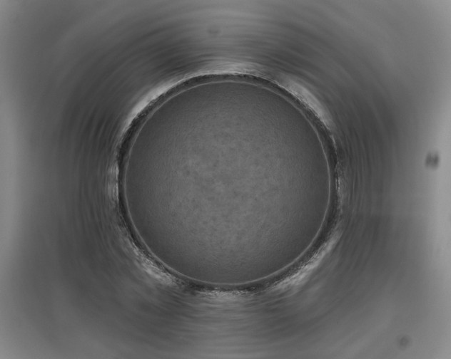 X0000097610781200802291301