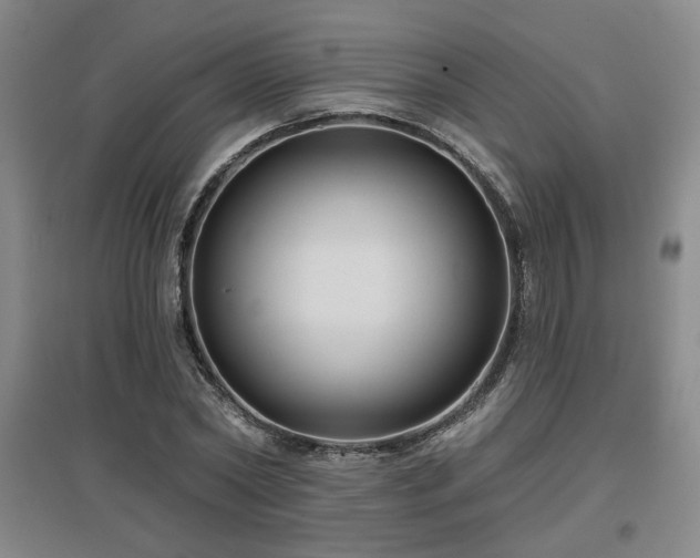 X0000097610782200802291301