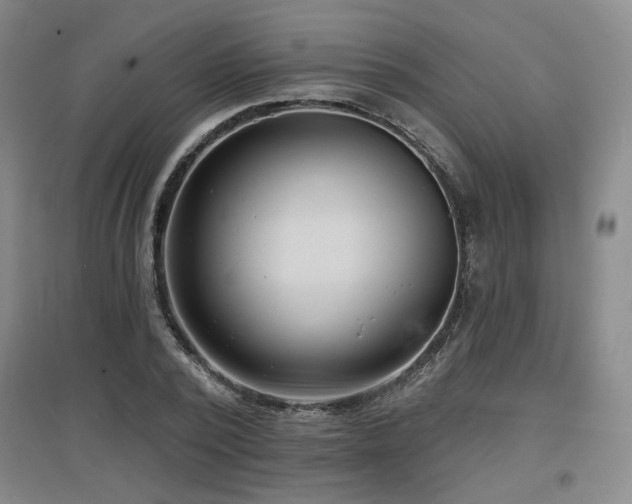 X0000097610784200802291301
