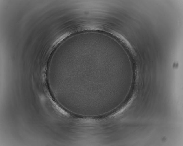 X0000097610785200802291301