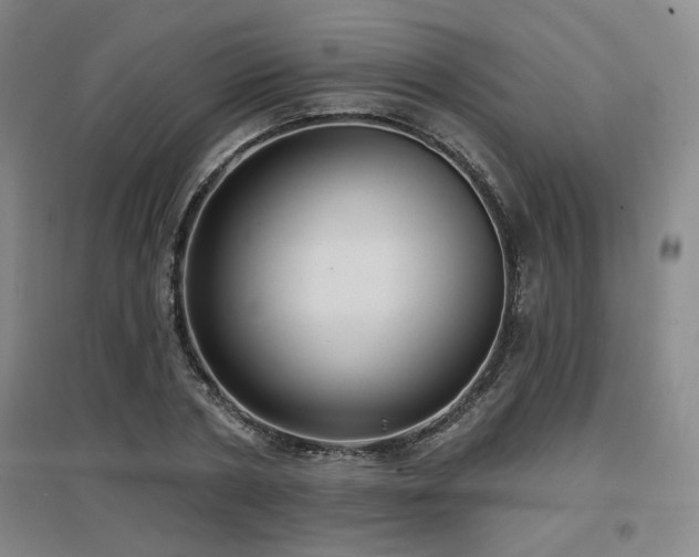 X0000097610786200802291301