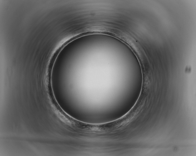 X0000097610787200802291301