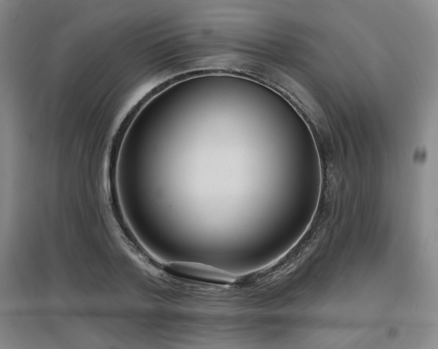 X0000097610788200802291301