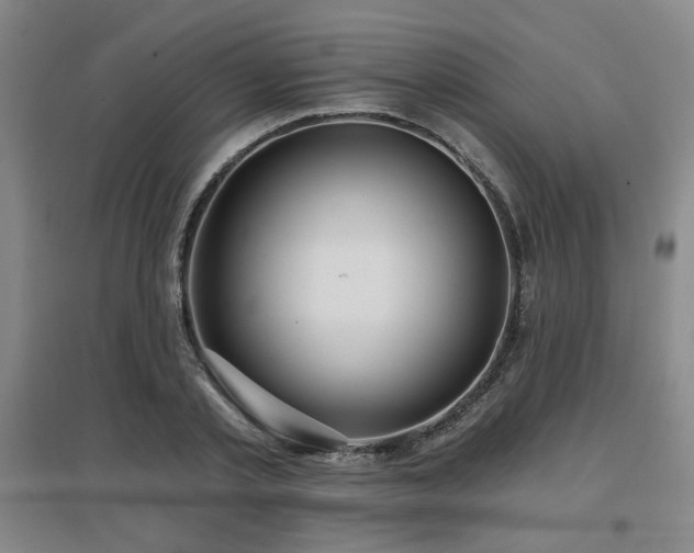 X0000097610789200802291301