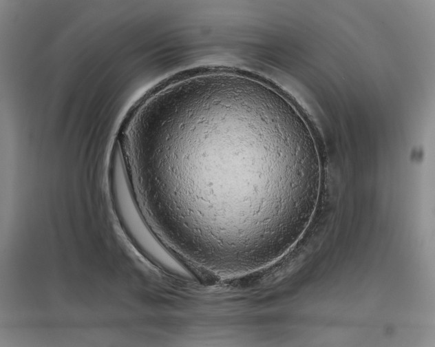 X0000097610791200802291301
