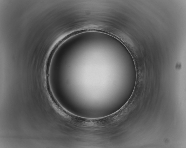 X0000097610792200802291301