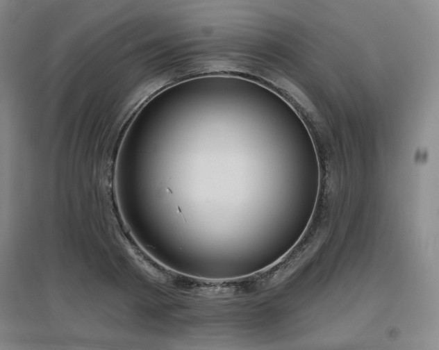 X0000097610793200802291301