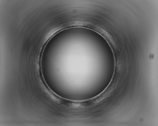 X0000097610794200802291301