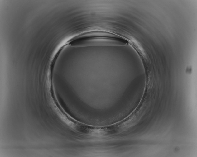 X0000097610796200802291301