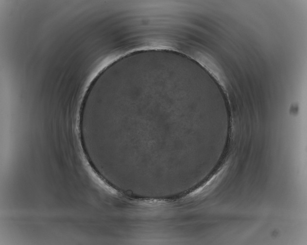 X0000097610797200802291301