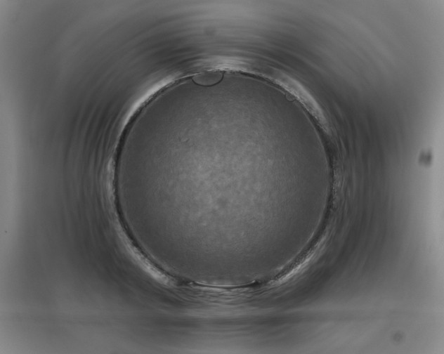 X0000097610798200802291301
