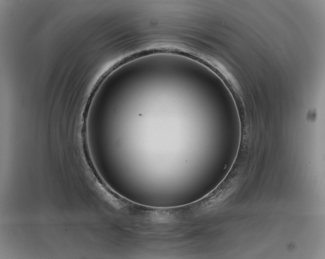 X0000097610799200802291301