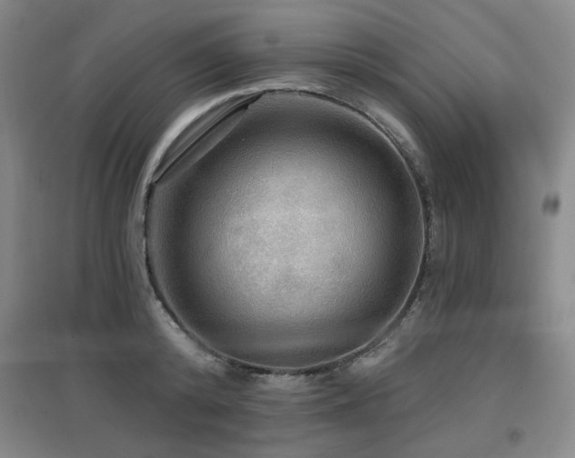 X0000097610800200802291301