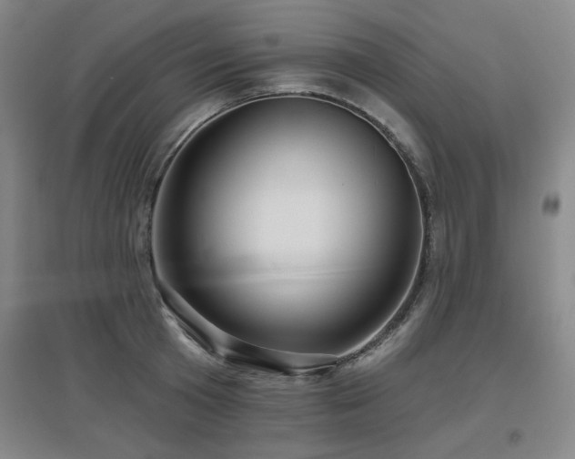X0000097610801200802291301