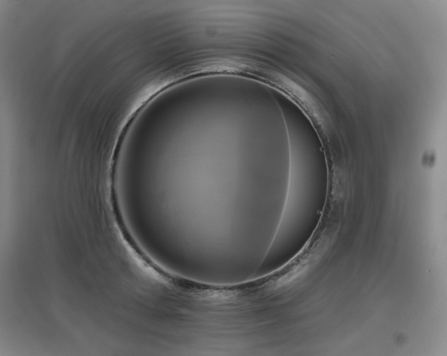 X0000097610802200802291301